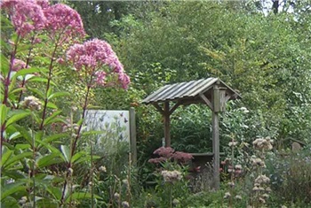 Activiteiten in vlindertuin