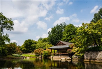 Japanse Tuin Hasselt