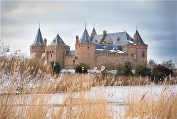 Groot LEGO Winterkasteel