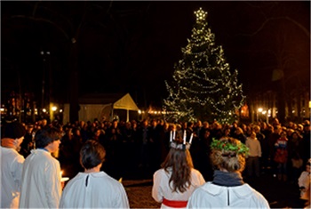 Kerstboom Lange Voorhout