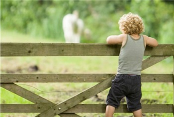 Top 5 kinderboerderijen