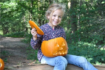 Halloween markt Losser