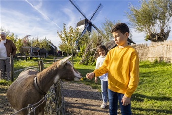 Winter in Kinderdijk