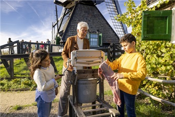 Winter in Kinderdijk