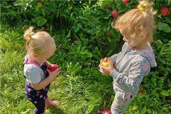 Zelfpluk op de Olmenhorst!