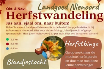 Herfstwandeling en bingo!