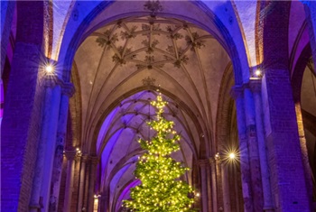 Kerstmarkt Lebuinuskerk