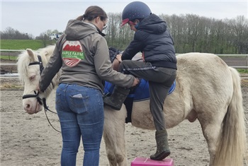 Kinderfeestje Maple Farm