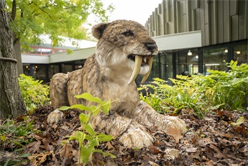 Dieren uit de IJstijd