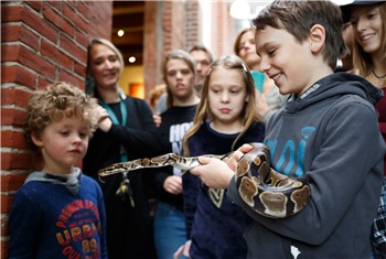 Kerstvakantie in het Museum