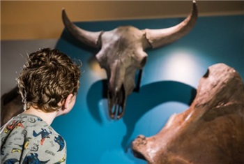 Kerst bij Museum Schokland