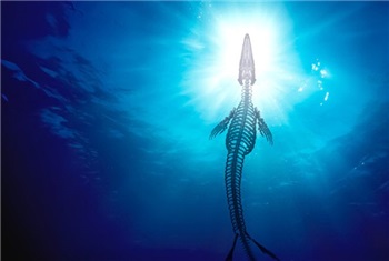 Mosasaurus experience