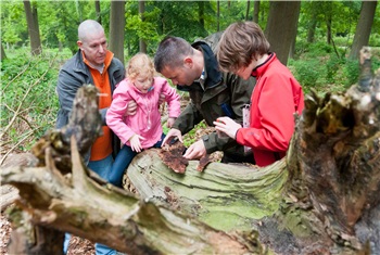 Kinderfeestje in 't Gooi