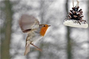 OERRR Vette Vogel Dag