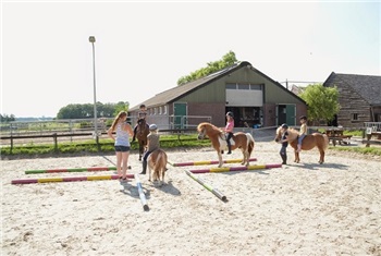 Dol dwaze pony kerstdag