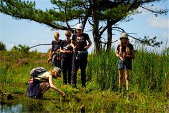 Natuurkamp Terschelling