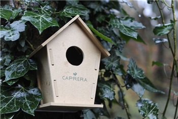 Vogelhuisje knutselen