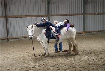 Vakantieochtend ponystal