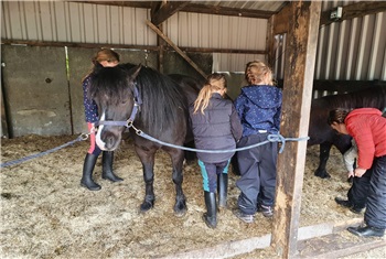 Vakantieochtend ponystal