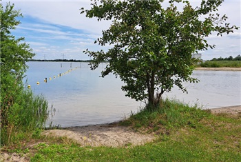 Cattenbroekerplas