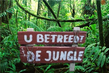 Jungle Beats Partijtje