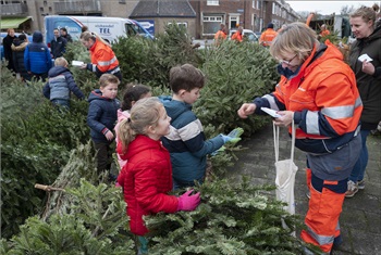 Kerstbomen actie!