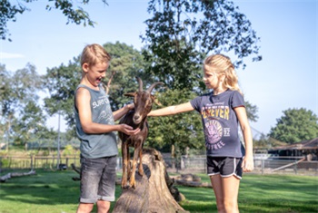 Dieren en speelfeest