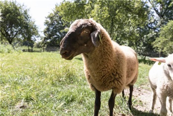 Herfstfeest Stad & Natuur