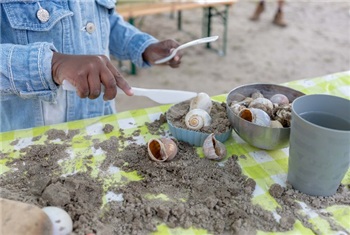 Zomer op Almeerderstrand