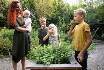 Zomer bij Stad & Natuur