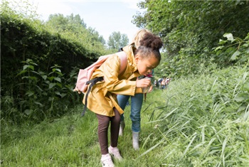 Zomer bij Stad & Natuur