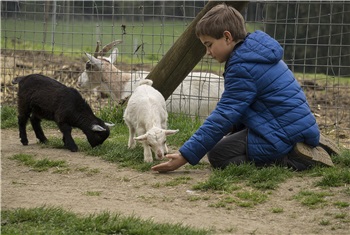 Boerderijdieren knuffelen