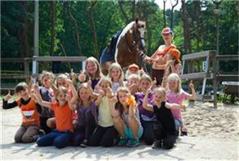 Ponykamp Naaldenhof