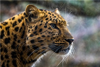 Herfst in Tierpark Nordhorn