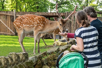 Herfst in Tierpark Nordhorn