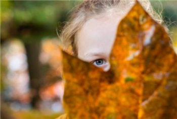 Herfstschatten zoeken