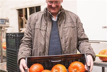 Van de Weerd Pompoenen