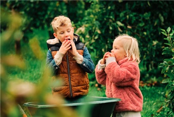 Vink Fruitboerderij