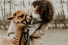 Alpaca Greenhouse