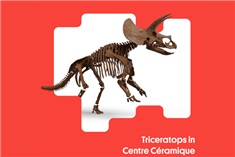 Triceratops Maastricht