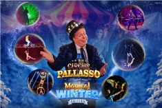 WINACTIE: Circus Pallasso!