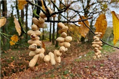 knutselen en wandelen