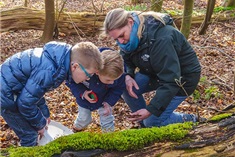 Bodemdiertjes zoeken (6+)