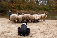 Landgoed Twente Fair