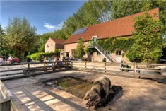 Heerlijke boerderij Kampen