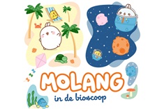 Kleuterbios Molang