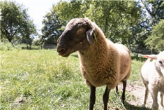 Herfstfeest Stad & Natuur